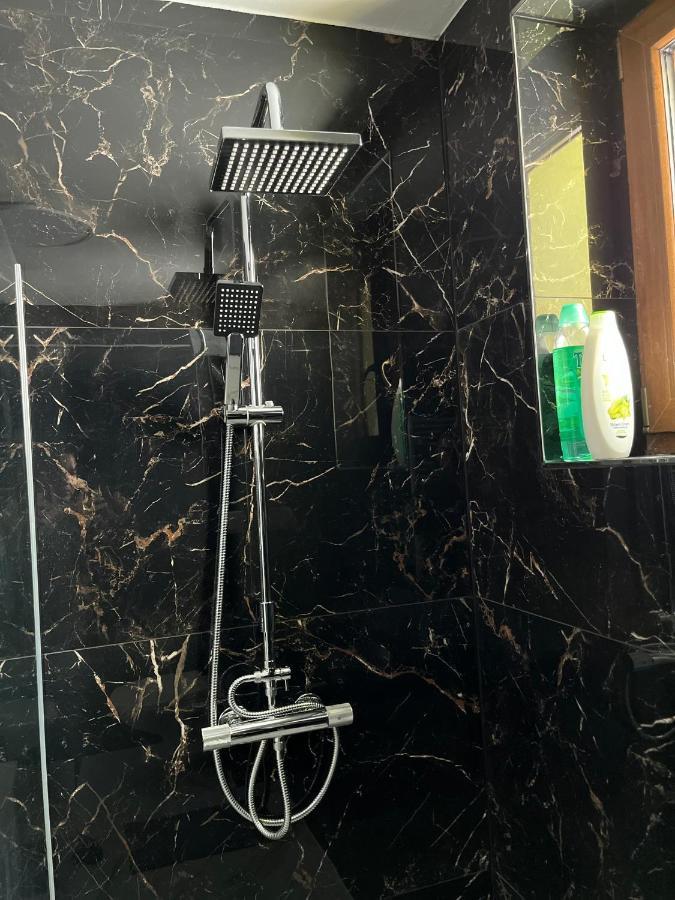 Apartment Golden Prague 78 Vestec  المظهر الخارجي الصورة